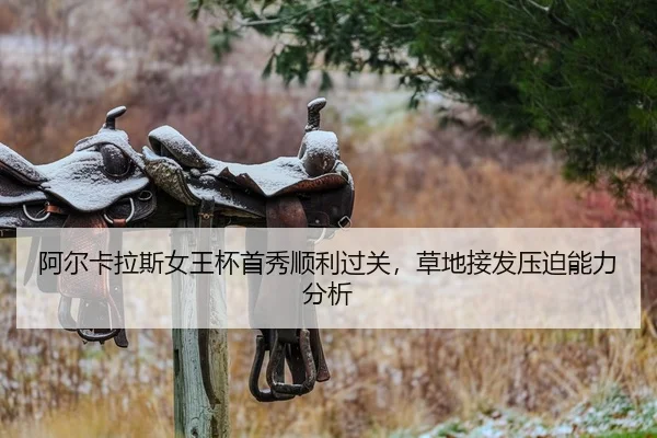 a-er-ka-la-si-nv-wang-bei-shou-xiu-shun-li-guo-guan-cao-di-jie-fa-ya-po-neng-li-fen-xi-2-123.jpg