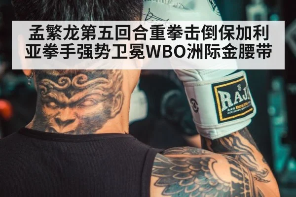 chinese boxer