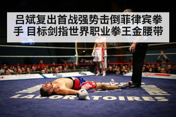 boxer knockout